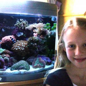 Alexandra's Aquarium Alexandra's Aquarium